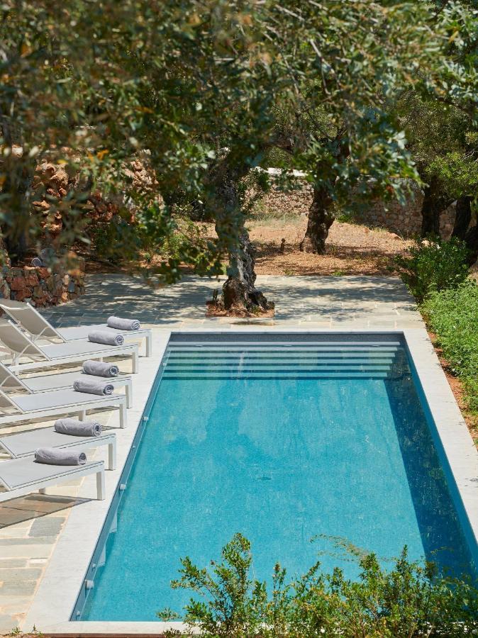 Patrick & Joan Leigh Fermor House Bed and Breakfast Kardhamili Buitenkant foto